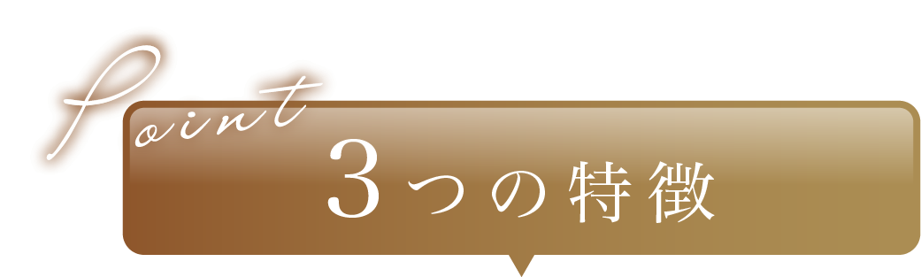 ３つの特徴