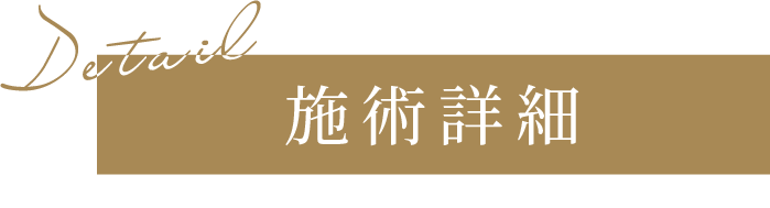 施術詳細