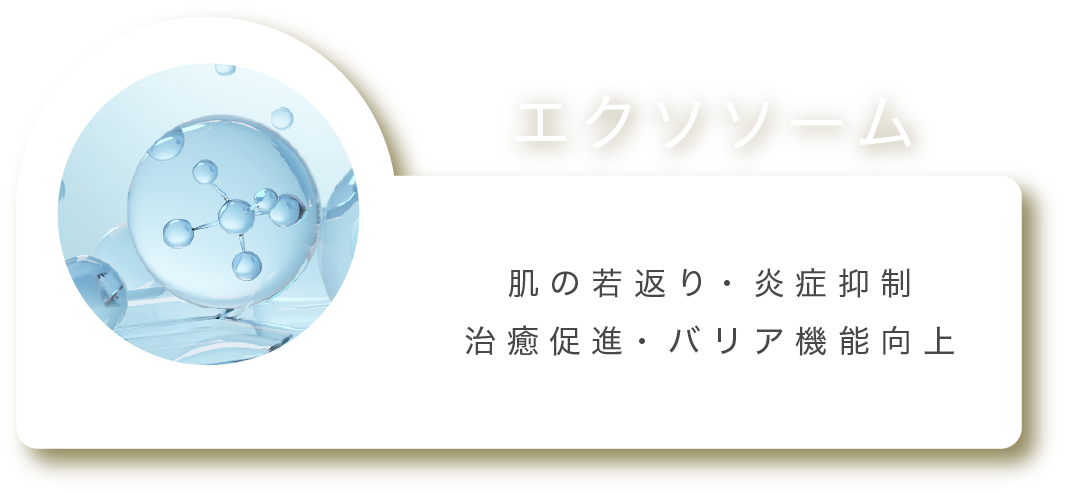 エクソソーム 肌の若返り・炎症抑制 治癒促進・バリア機能向上