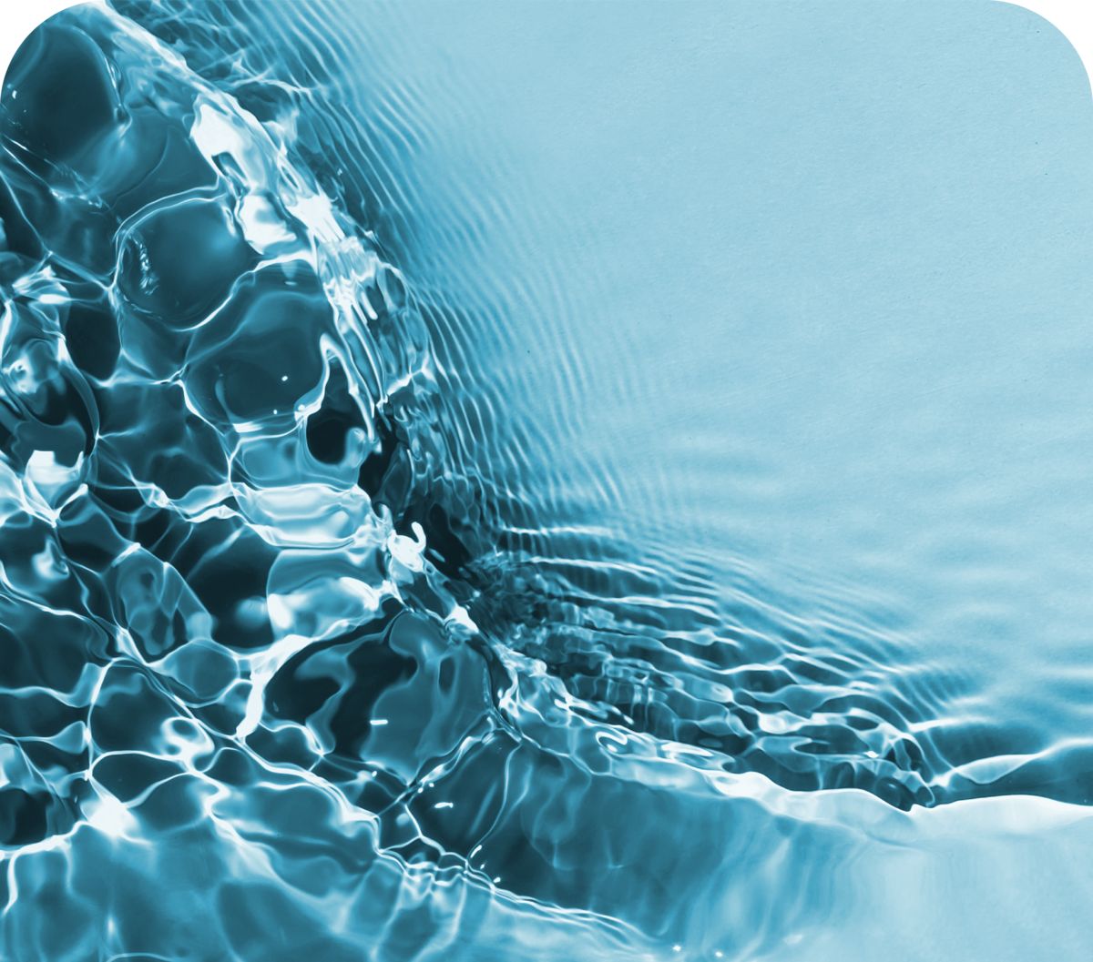 プルリアルデンシファイ背景