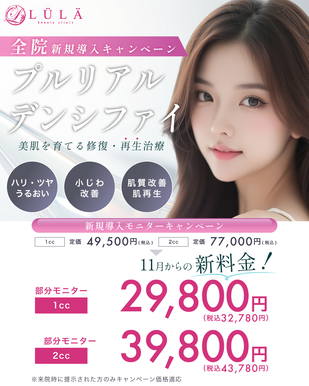 プルリアルデンシファイ